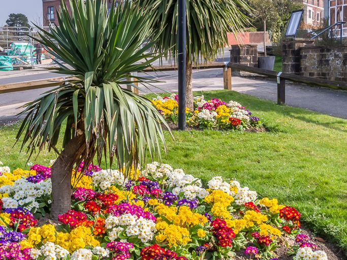 Haywards Heath web designer